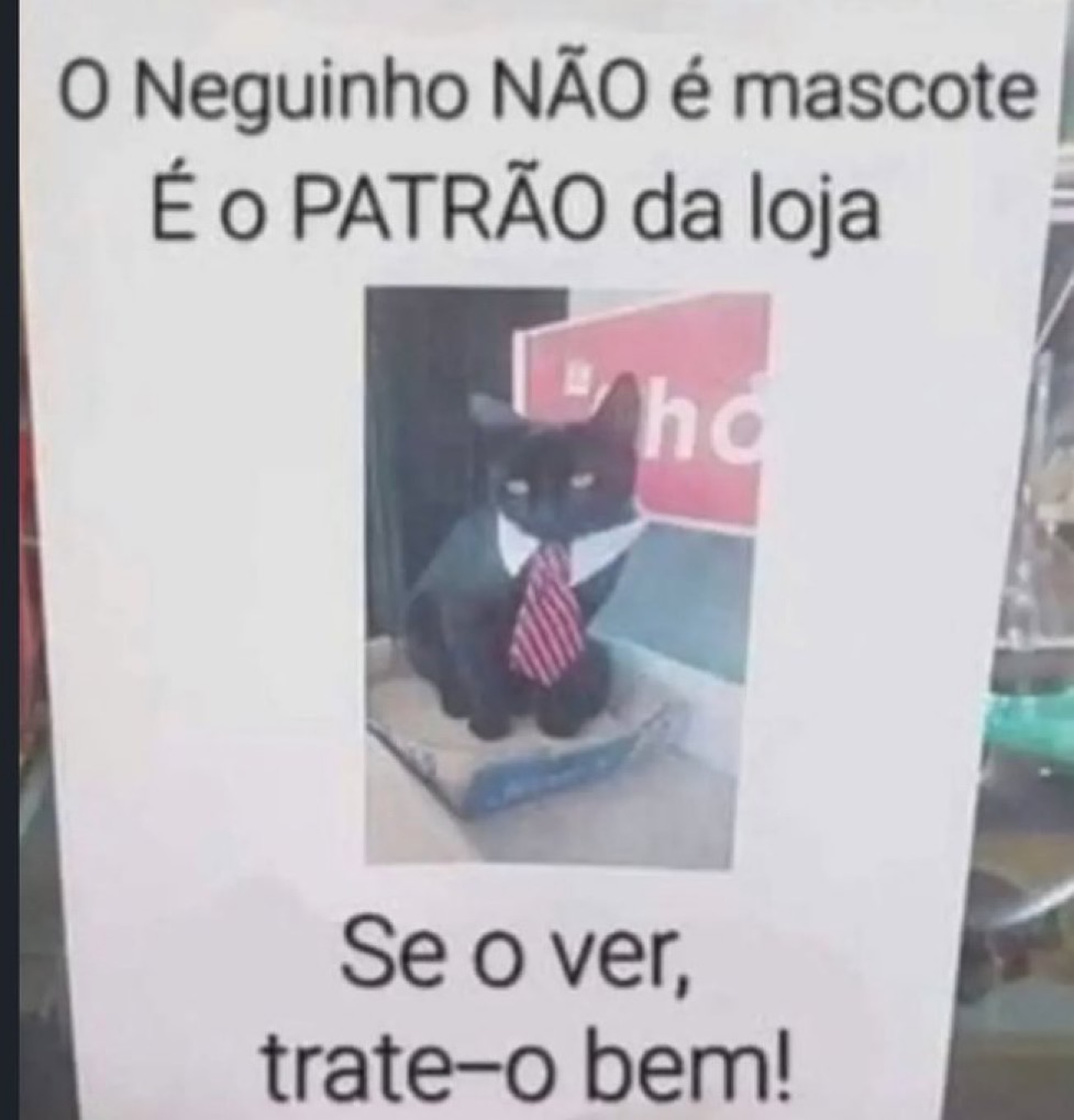 serirvaipinfern's tweet photo. https://t.co/UxvwAjL2SN