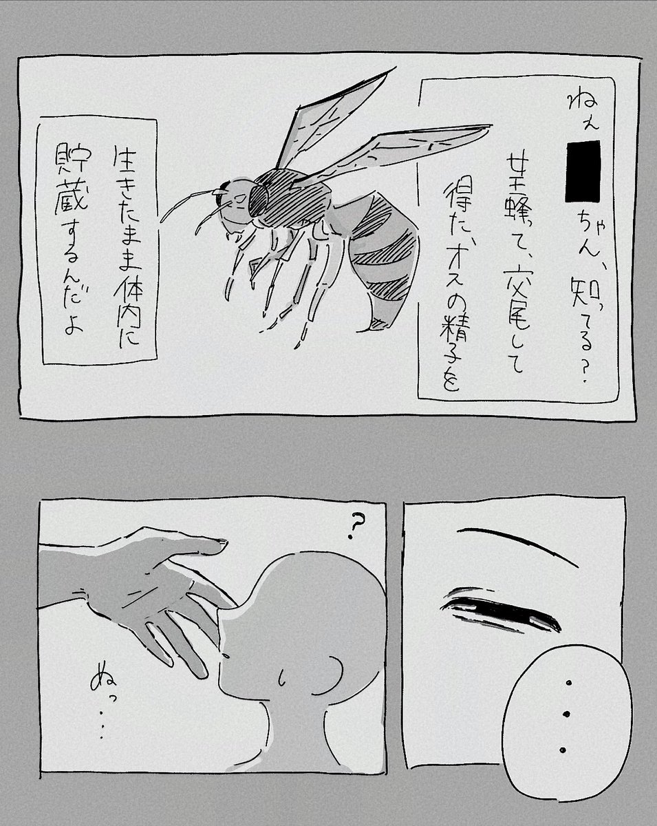 erogawachinpoko's tweet photo. #ドムドムチーチー 

女王蜂の生態と、██ちゃんと、マユウラ君 https://t.co/XeRTUJxtgQ