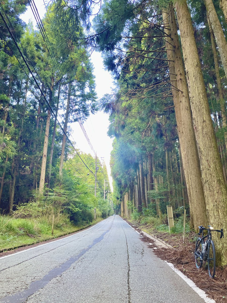 satmacsat's tweet photo. いつものライド
#khodaabloom #khodaabloomfarna #ロードバイク #ロードバイク初心者 #ロードバイク好きな人と繋がりたい https://t.co/IGhG3LOAuS
