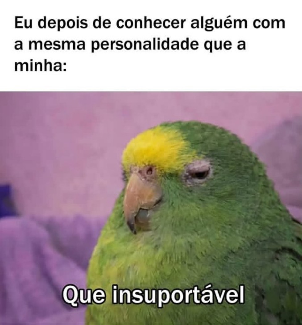 soulembrancas's tweet photo. https://t.co/2MieGKsteN