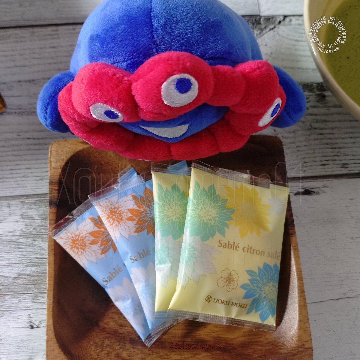 utsusomemo04's tweet photo. 「ミャクさん、ヨックモックのカドー ドゥ レテ？っていうやつだよ」
ミャク「粗塩+レモンのサブレ シトロン サレと、ビターチョコ+オレンジのサブレ オランジュ ショコラ、それとシガールのセットだね♪
夏らしい爽やかなクッキーに安定のシガール、たまらないね…🤤ﾌﾌﾌ」

#もっちりミャクミャク https://t.co/S7id2zWZeK