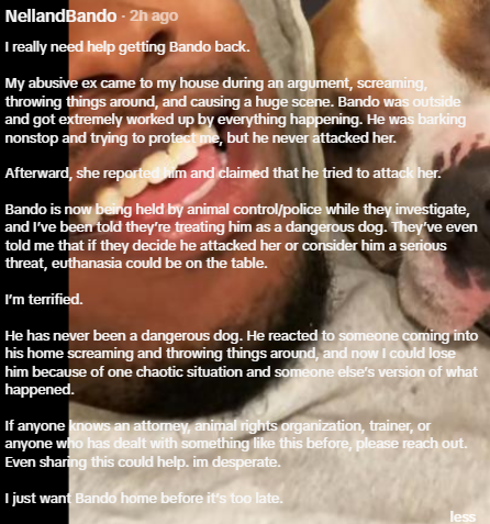 YouheiLinQ's tweet photo. So this guy with 5 MIL followers asking for help.
His dog Bando being held by police and THEY TRYING TO EUTHANAZE his dog and kill him for no reason
This is like next PNUT.
People in comments are in rage and posting #FREEBANDO
https://t.co/nKROyw7BGs