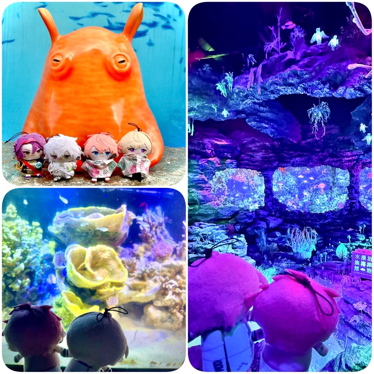 moku_chaan's tweet photo. 昨日はももちゃんとはじめまして&amp;プチ静岡旅行🥰💕
めちゃくちゃ喋ってあっという間の時間だった✨楽しかった〜😆✨✨✨✨✨ https://t.co/KSvPE3Y5O1
