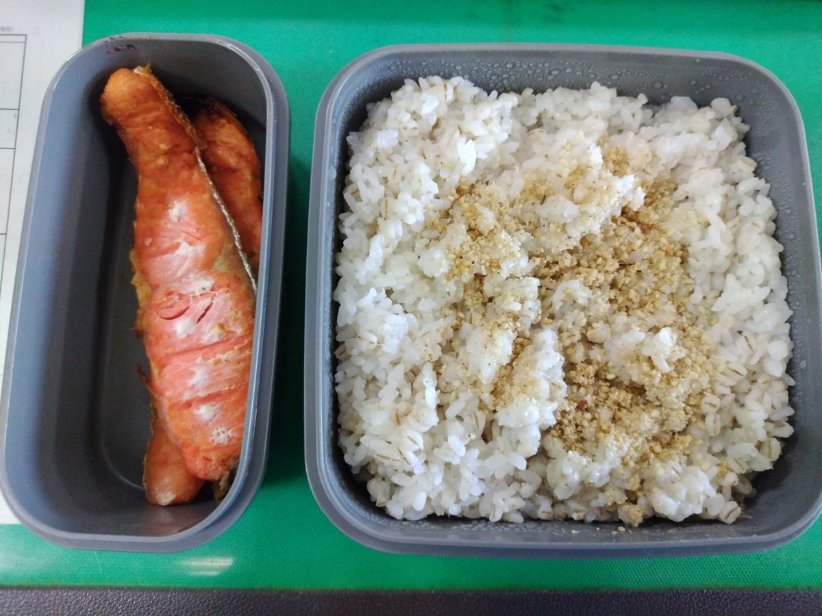 Taito_Okabe's tweet photo. 今日の弁当
鮭弁よ！🐟️

昨晩に、何とか焼いたわ。
新しい腰巻きが、事務所に届いたから早速使ってます！👍
猫背改善するような腰ベルト一体型みたいなのもあったからアマゾンで試しに買ってみたけれど丈がかなり短いので、従来通り、ただの腰巻きだけの良さげなやつを使ってます。
#四毒抜き 
#林業 
#森林施業プランナー