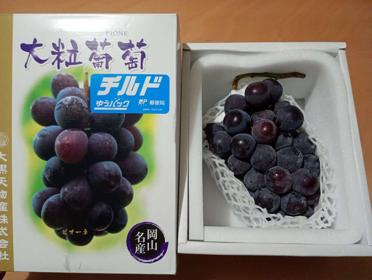 assetforest2025's tweet photo. 大黒天物産からの株主優待品、大粒ピオーネが届きました🍇
写真じゃ全然伝わらんけどめちゃくちゃ粒が大きい！
これは嬉しい😊 https://t.co/Mlw2hPyiGI
