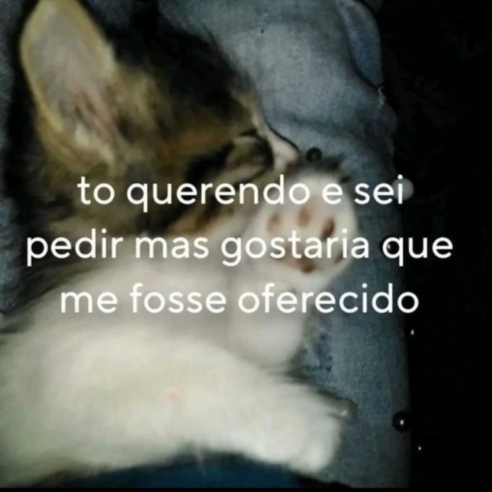 doimaszpassa's tweet photo. https://t.co/vmKzLZlZyx