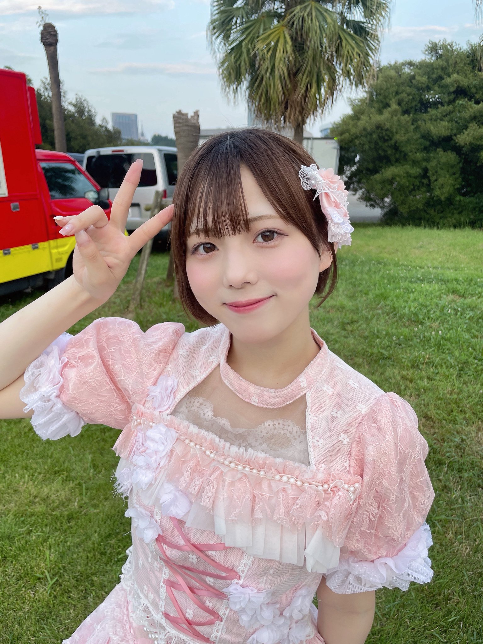 川菜 光｛ かすみ草とステラ ｝ on X: 