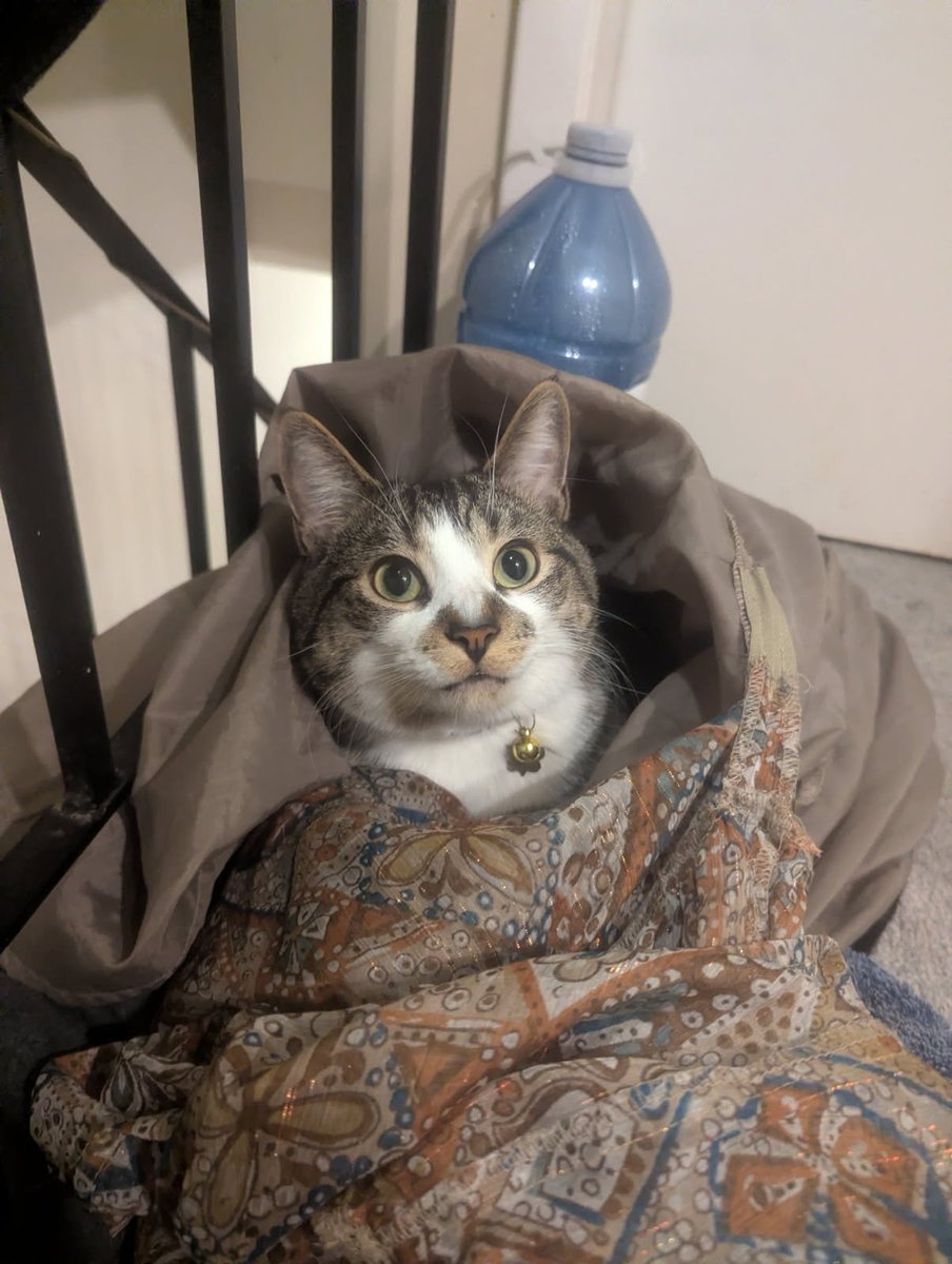spookynbz's tweet photo. I can't believe I gave birth to the most handsome boy. Mr Magoo, you are one handsome man! https://t.co/wN8ou8bJbV