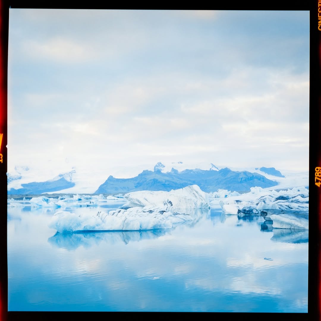 davidjcvx's tweet photo. ⠀⁠
📸 ⁠
🎞  ⁠
📷️ Hasselblad 500CM⁠
🧑‍🔬 https://t.co/nRQhul0v8L