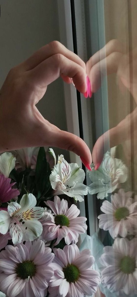 b37KhbaTdZ28084's tweet photo. 今何をするべきかな
出来る事から…

穏やかな
癒やしの日をください
お願いします🍀 https://t.co/tbAw7Evmww