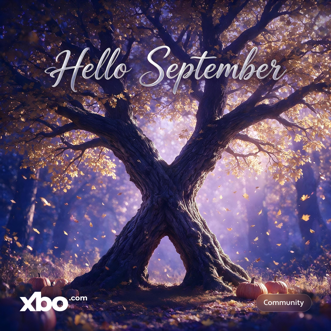 XboOfficial's tweet photo. 🍂 Hello, September.

Which crypto project will you be following this month? 👇

#September #NewMonth #Crypto #XBO https://t.co/qJHgoidwa4