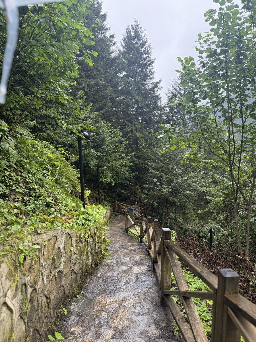 nonalsh4's tweet photo. في احضان الطبيعه 🍃🏔️ https://t.co/yIUdY7Jb86