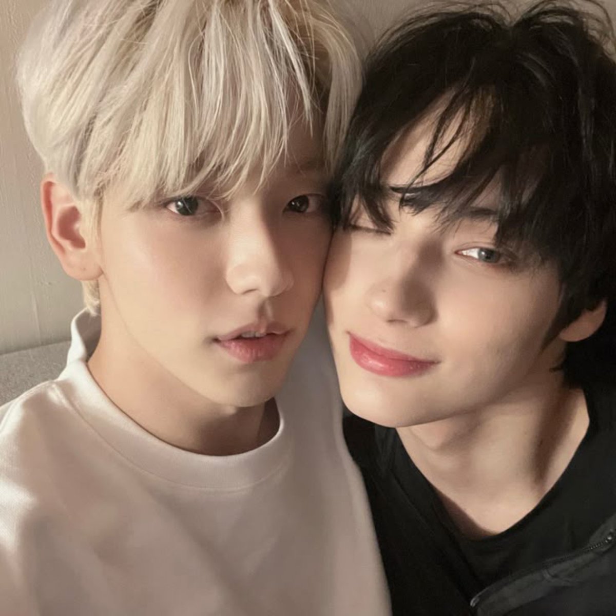 notesfromZyzy's tweet photo. mutis y no mutis moa citen si lo ven

primer ship // ship favorito https://t.co/SkfuC3BJws
