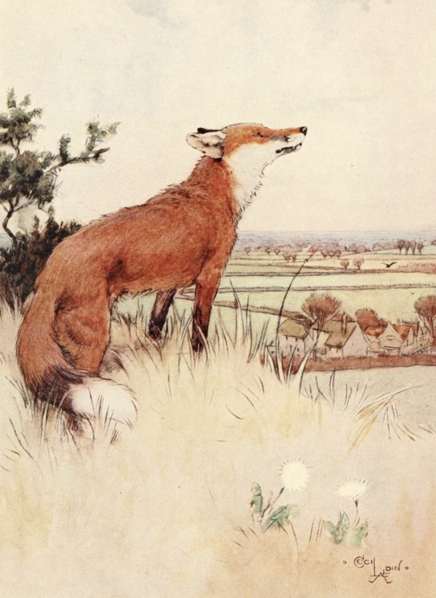 AnneLouiseAvery's tweet photo. 🍂This month, exclusively on my patreon, discover "Old Fox's Grand List of Thirty Things to Do in September." A new post every day! A new pursuit! Slowly revealing an old-fashioned, 1930s autumnal itinerary! There will be crisp, cold morning walks, Dorsetshire apple cake & buttered crumpets, Daddy Long Legs, pressed leaves, towering mushroom pies, teetering piles of detective mysteries and enormous vases of Chrysanthemums and Michaelmas daisies! Join here, at any tier! https://t.co/nHxzwnLBGt