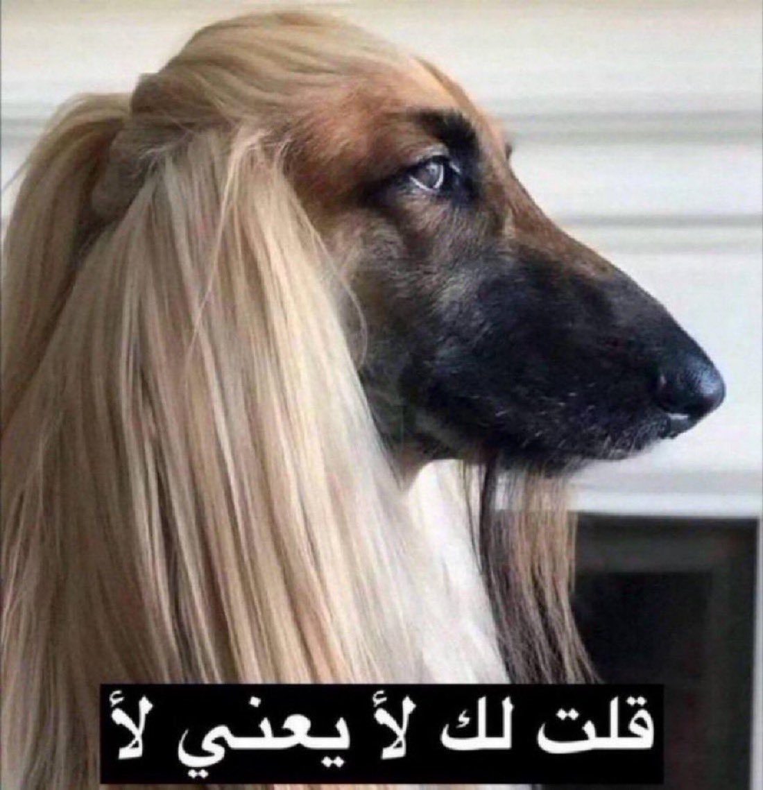 sevromweh's tweet photo. الاتحاديين مبسوطين باخبار اتفاقهم مع ريوس

الخبر اللي بيطلع بعد المغرب https://t.co/DB3DtgQPWb