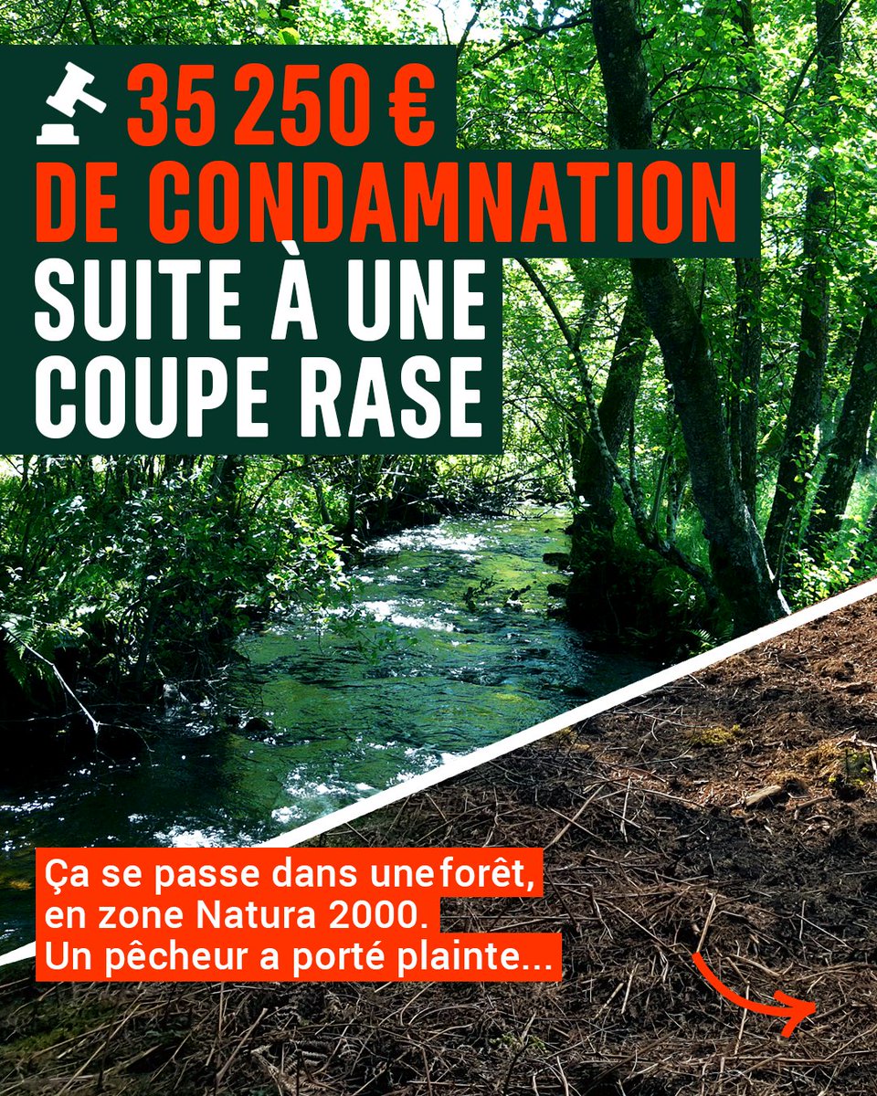 Canopee_asso's tweet photo. 🌳 Coupe rase illégale en zone Natura 2000, un pêcheur qui porte plainte, 35 250€ de condamnation. On peut gagner. Bientôt : un guide pratique pour agir près de chez vous. Faites tournez l’information, et rejoignez-nous ! - 1/10 https://t.co/Z5eD4kkFR2