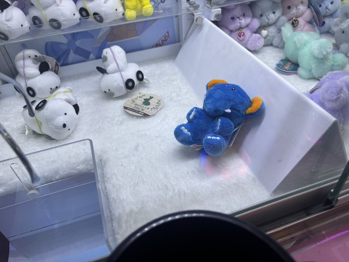 mement_bemani's tweet photo. ポムとぞうさんをお救いしましたの🍮🐘
ラウ🐶はやっぱり最高ね♪

ぞうさんに関しては背中のタグが邪魔してたから引き寄せてから突き刺しで射止めたわ

#クレゲ https://t.co/xL0iX4yntB