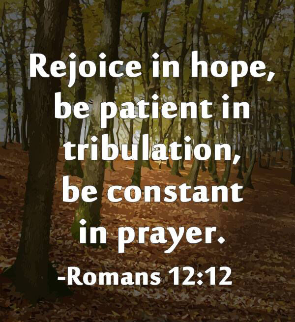dicklawfirm's tweet photo. Roots grow deep in the hard seasons—when you fall and still hope, when nothing moves and you wait anyway, when all you have is a whisper toward heaven. #deeproots #hardseasons https://t.co/aIOBZu1dxL