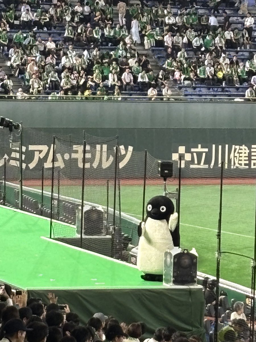 jitsu1214's tweet photo. 御大の勇姿、見届けました🐧

#都市対抗野球 
#東邦ガス 
#JR東日本 
#suicaペンギン https://t.co/XuFFN1NBA1
