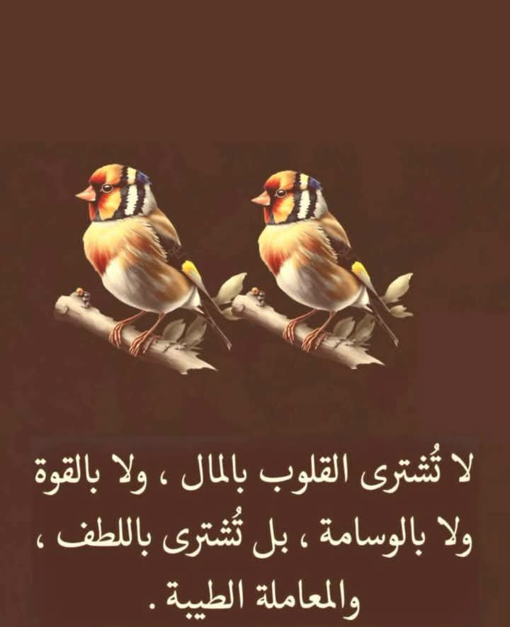 RYhya92157's tweet photo. القلوب ما تنشرى بالمال ولا بالقوة ولا بالهيبة
القلوب تكسبها اخلاقك وطيبة قلبك ولطفك مع الناس
كوني دايم الشخص اللي وجوده راحة وكلامه جبر وفعله يترك اثر جميل 🤍🌿#حبيت_أقول https://t.co/x9OCBfPOjZ