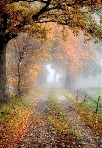 gevdime's tweet photo. .
The winds will blow their own freshness into you, 
and the storms their energy, while cares will drop away from you like the leaves of Autumn.
.
       . - John Muir
.
          .📷ca. pinterest. https://t.co/HO6Q3ZuHNa