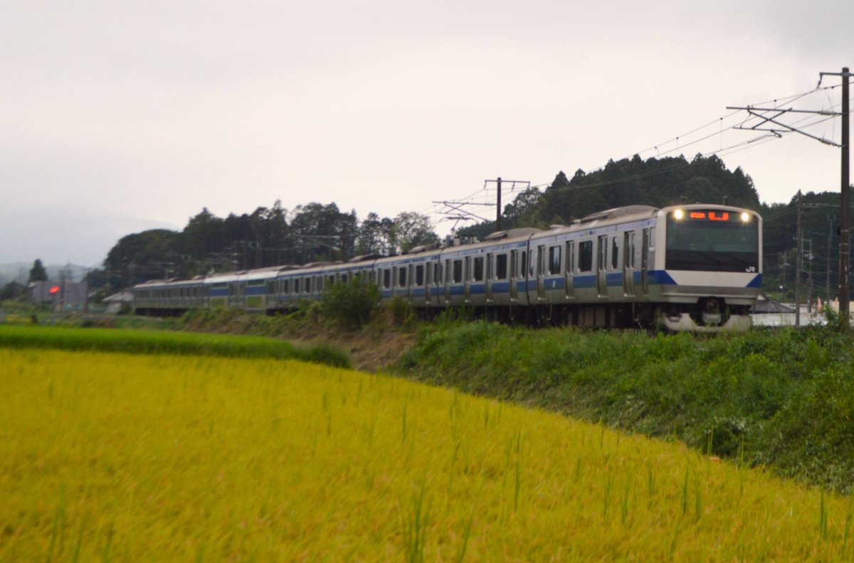 rambaral583's tweet photo. 2026年9月1日 稲田駅にて
E531系 K407 回8725M KY出場回送
E531系 K557 762M 普通 小山行き

稲田駅ではケツ側ホームよりハミ出して停車、762Mと交換。

#E531系 #水戸線 https://t.co/mOyy89cSRo