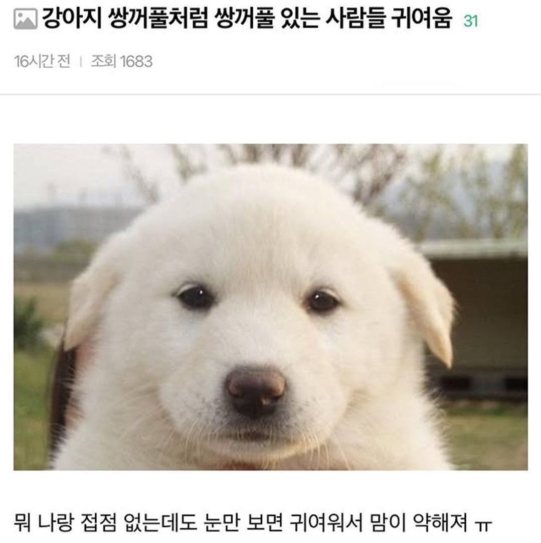 ttoyonee's tweet photo. 🫳🐶 https://t.co/gpuIeogysM
