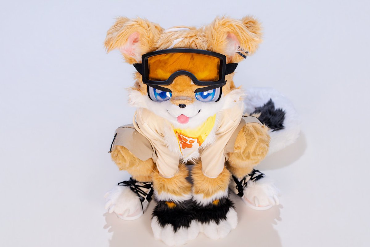 jydoggy's tweet photo. 主人们好，欢迎大家来撸狗！
#furry #fursuit #兽太 #正太 https://t.co/obanpjFcuz