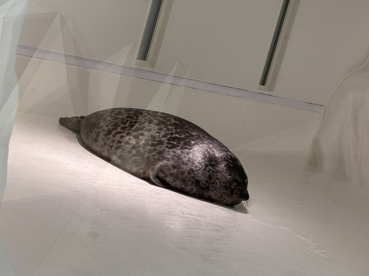 cospready821's tweet photo. 「ｳﾄｳﾄ」

「ﾅﾆﾄｯﾃﾝﾈﾝｺﾗ」 https://t.co/bTOXFqKsv7