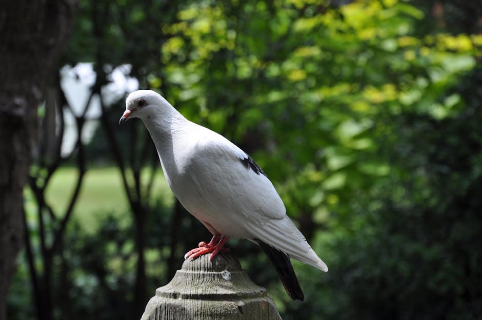 MaxNettle's tweet photo. لجعل المحتوى لدينا يستحق العناء! تبادل المحتوى الخاص بك هو كنز من الحكمة. لك! شكرا تبادل شكرًا trinh sheats https://t.co/ipPxmPNrt6