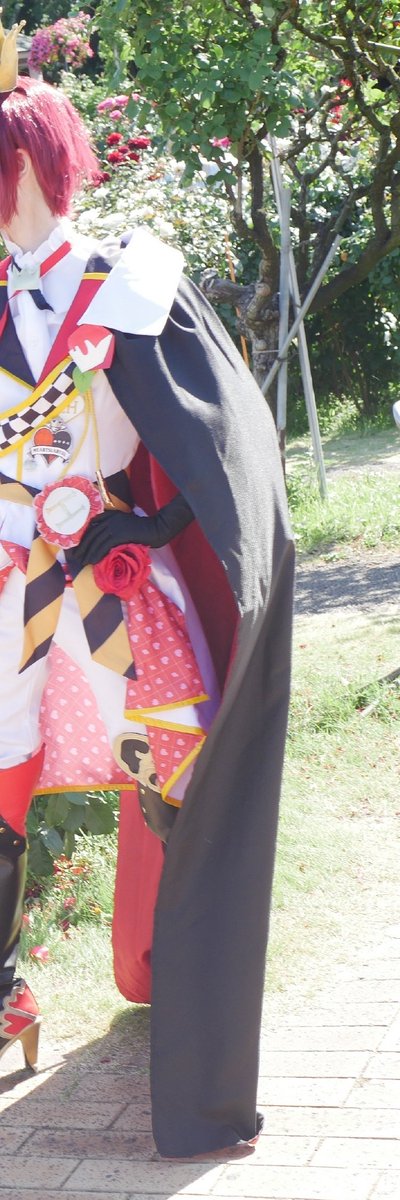 ion_cspl's tweet photo. Cosplay / twst 🃏

⋆┈┈┈┈┈┈┈┈┈┈┈┈┈⋆

　　　女王の庭の風物詩

⋆┈┈┈┈┈┈┈┈┈┈┈┈┈⋆

⚠横スクロール推奨 ☞
#激熱ラビュル0530 https://t.co/BJVomk3pZL