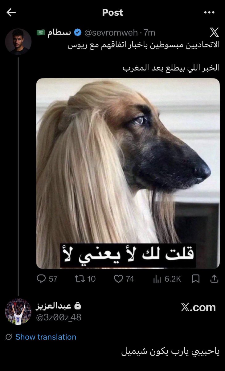 sholalasho's tweet photo. صيفية العميد 💛 https://t.co/dq3dXvHA01