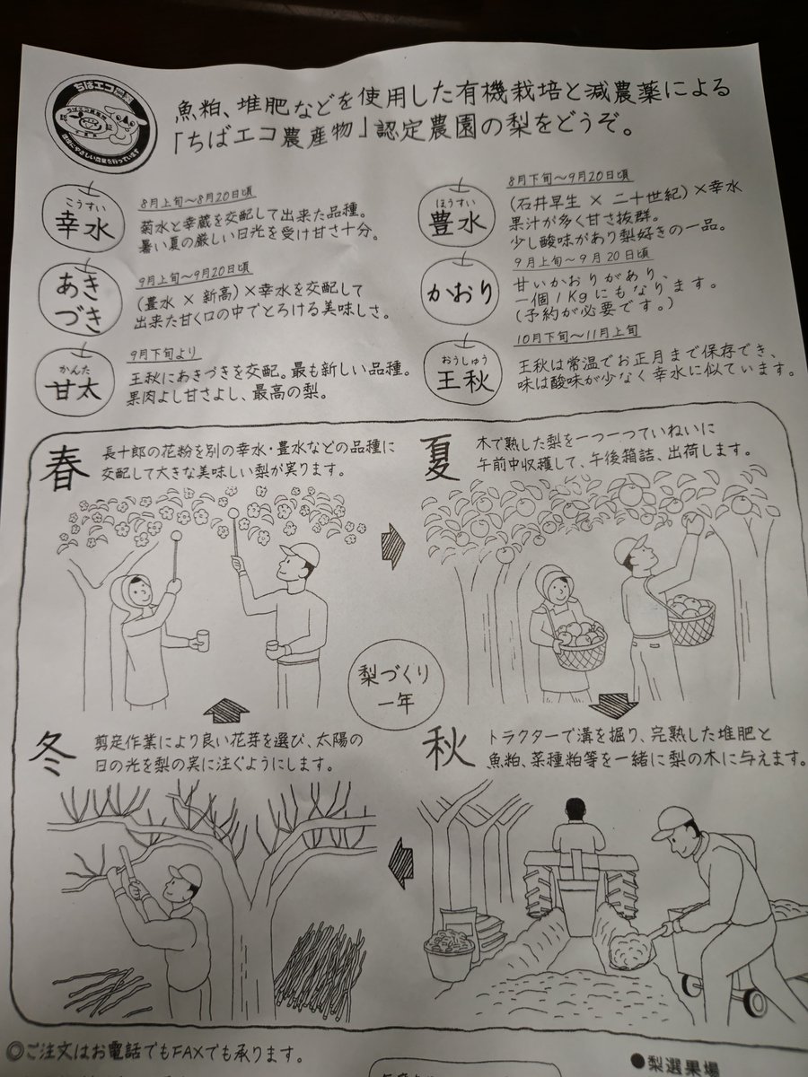 takehirochan's tweet photo. 贈り物の千葉の梨です。美味しくいただきました。食べ物は暦どおり秋ものですね。 https://t.co/cgdSLu8D2L
