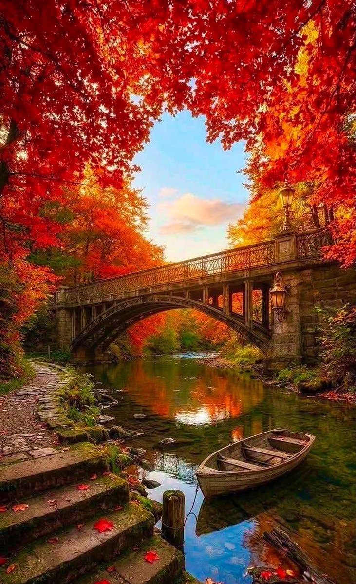 ArmyBrat682's tweet photo. Good morning beautiful people! Happy 1st day of September! 🙏🏻🧡🫶 https://t.co/tt24mmNxfl