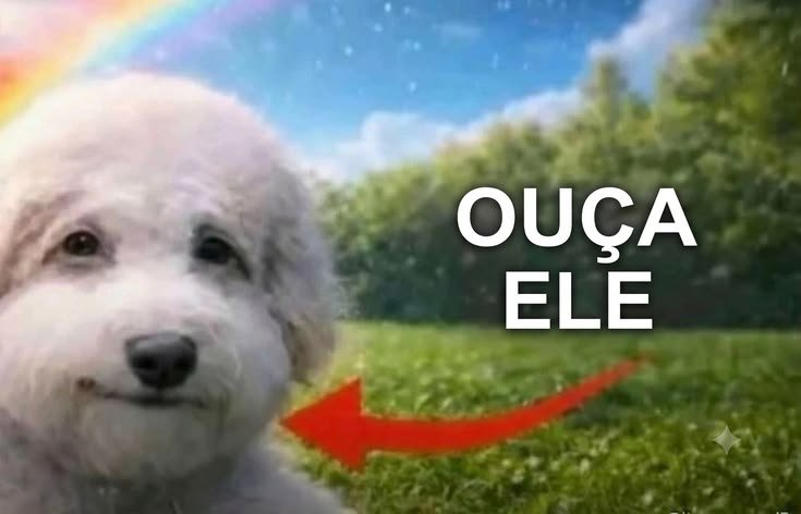 wnausoymt's tweet photo. @antisobriedade eu roubo na casa dos meus avós pq eles compram bastante aí nem percebem se eu pegar alguns escondido mas deve ter alguma vendinha que dê pra roubar tbm https://t.co/pUGqwn4wdP