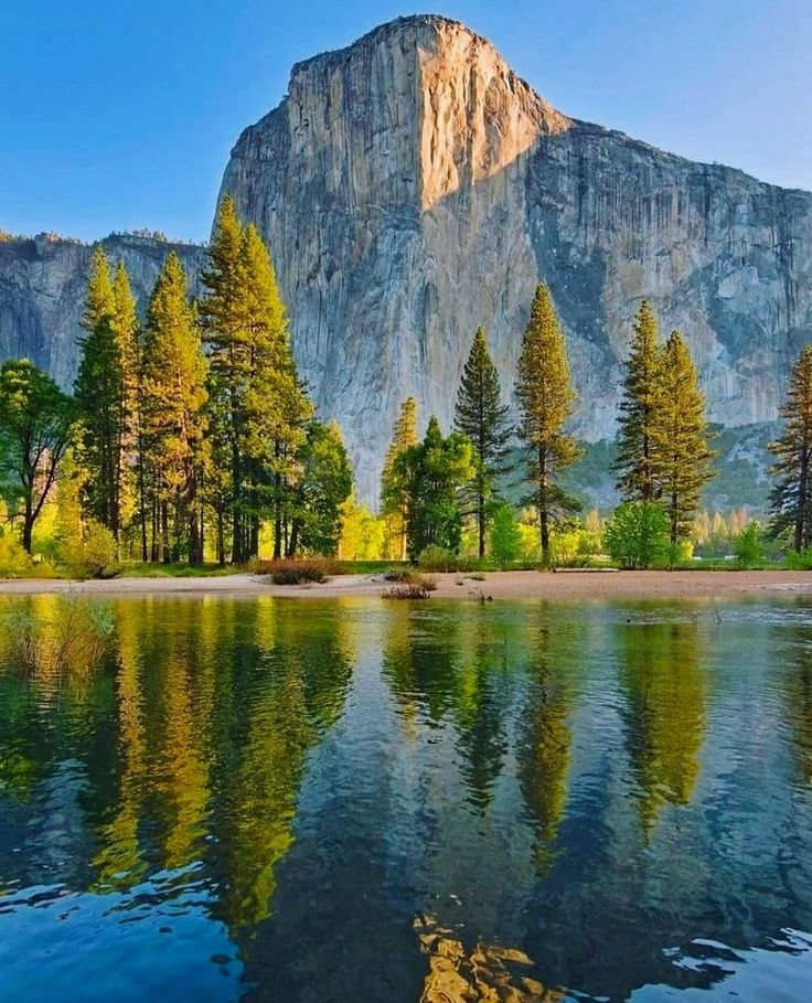 ab_cd_1235's tweet photo. Yosemite National Park, California 🇺🇸 https://t.co/wSHNjjwSZJ