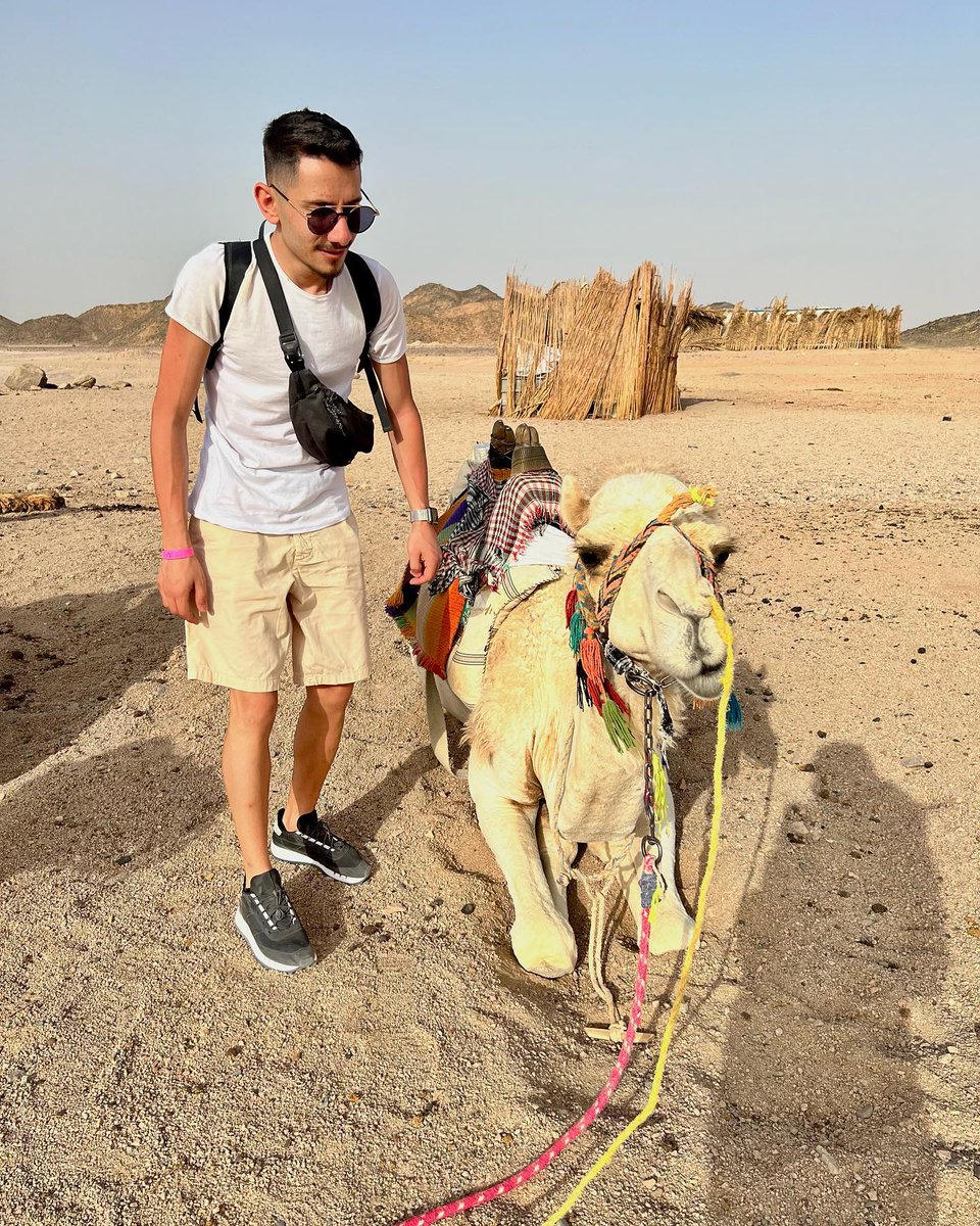 ConchaEversej's tweet photo. Camels https://t.co/9JmCWIJYCn