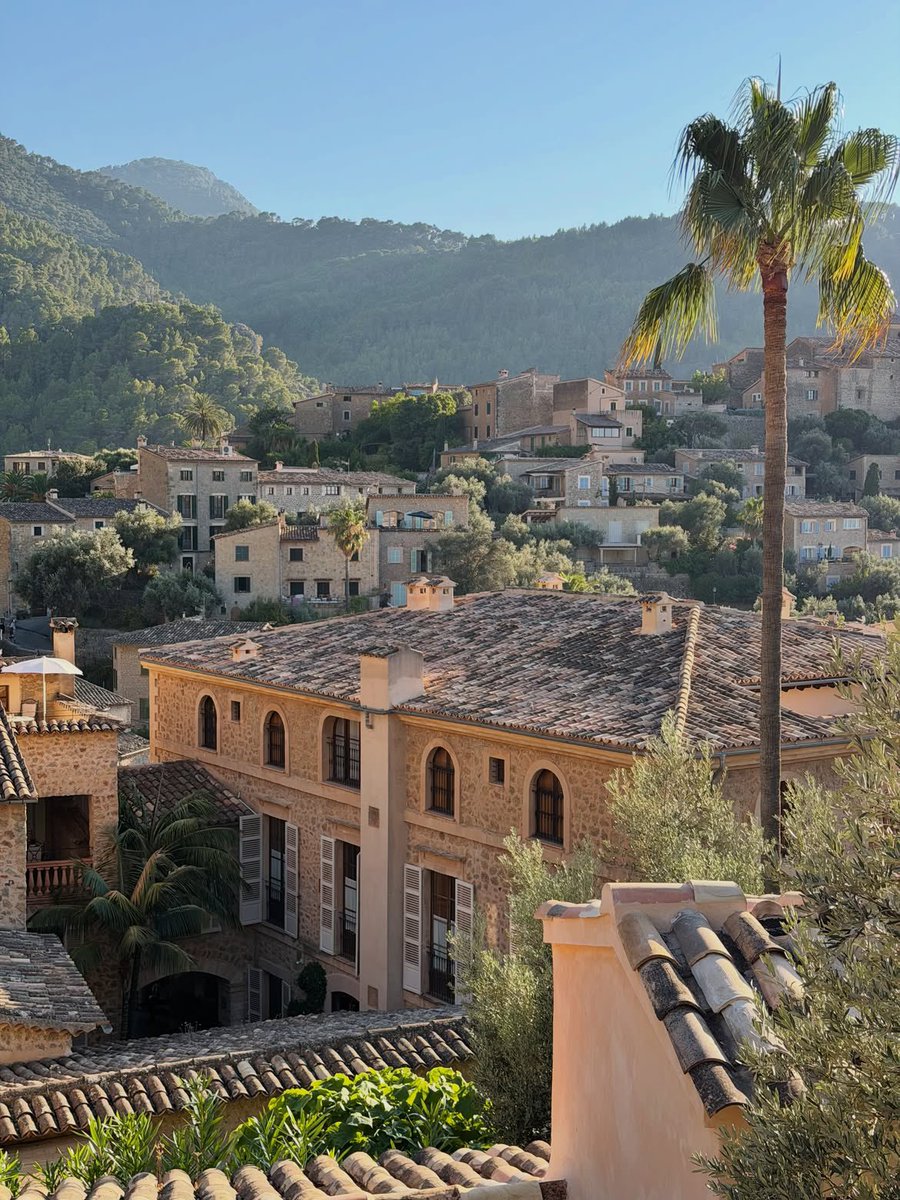 Rebeamour's tweet photo. found a pretty view, thought i’d give it some company. https://t.co/pvtdwnPdDJ