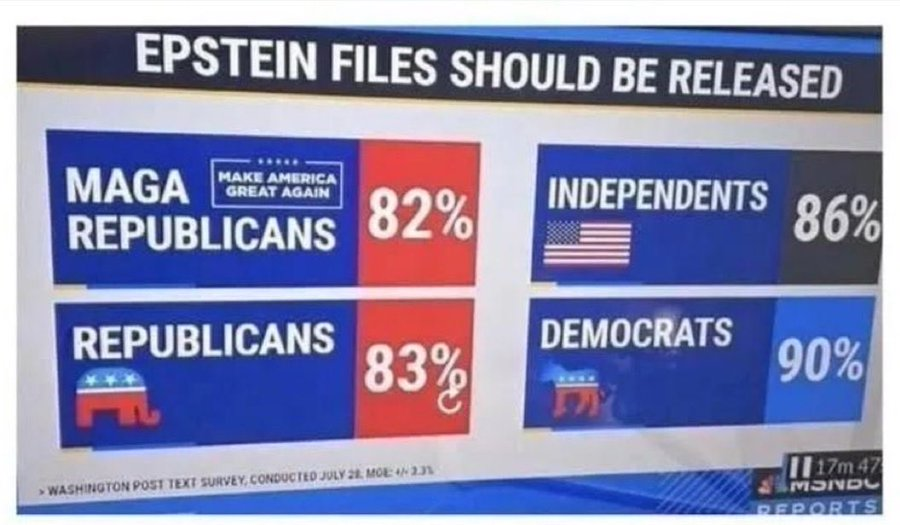 Mayhem4Markets's tweet photo. Release the Epstein files. https://t.co/Td6cRs73uX