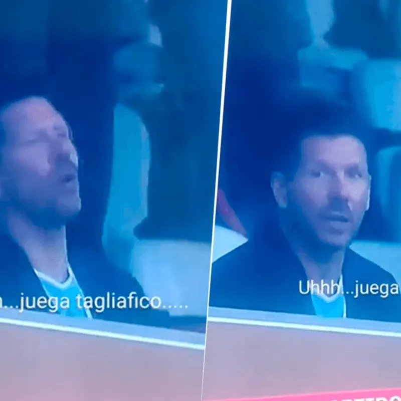 frabigol's tweet photo. PREMIO A LOS JUGADORES CON MENOS NEURONAS DEL MUNDO:

Los argentinos que van al Atlético Madrid sabiendo el historial de Simeone son bobos, pero lo de Tagliafico supera todo, Simeone LO INSULTÓ en la previa de la final de Qatar y el tipo VA IGUAL!

Los jugadores son TODOS TONTOS. https://t.co/FtKKezmnfT