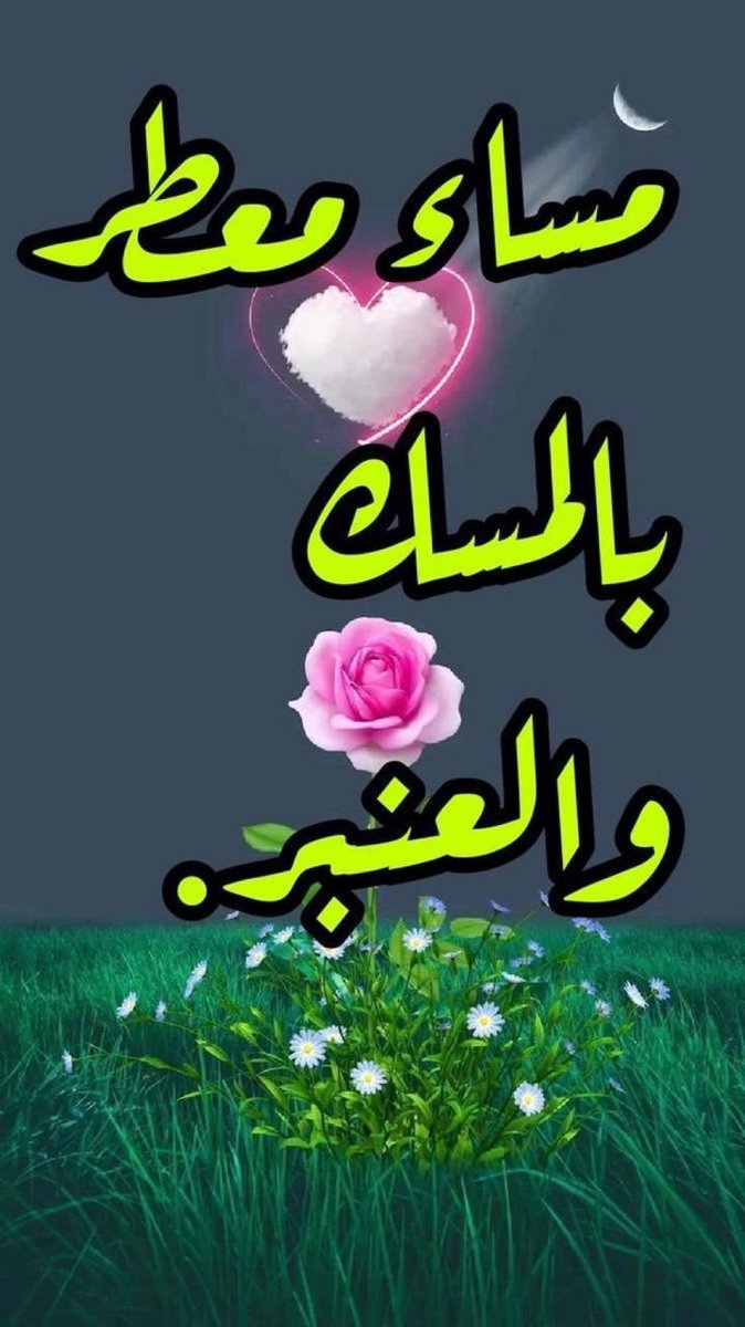 KhafagyTalat's tweet photo. @muna_ali2026 https://t.co/poTgMsTcID