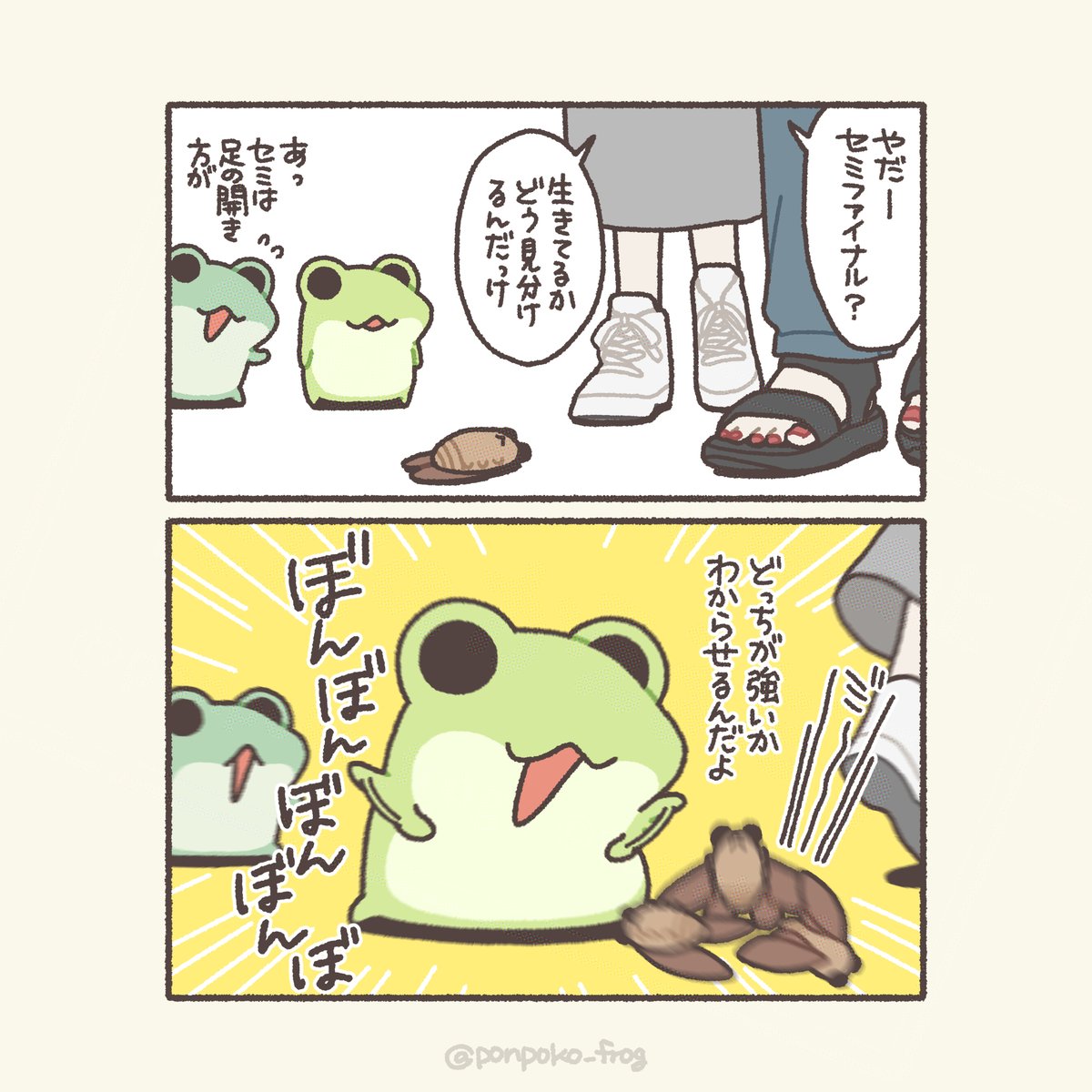 ponpoko_frog tweet picture
