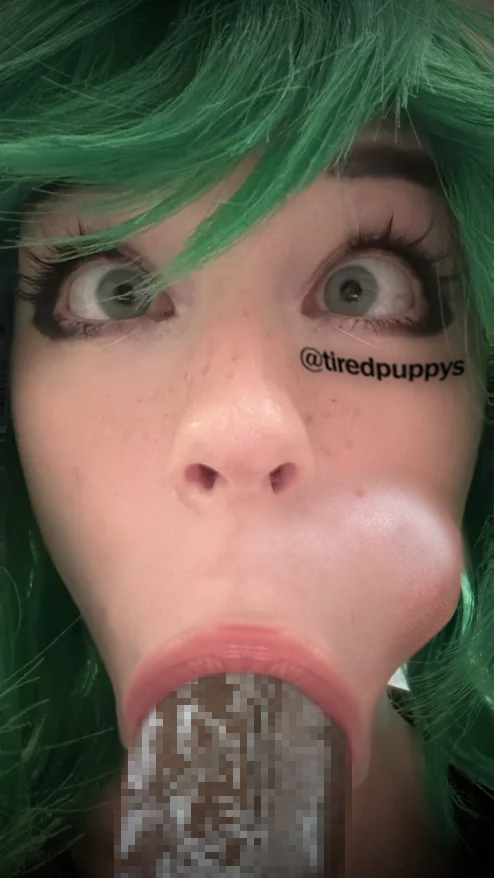 tiredpuppys's tweet photo. This is what happens when you pull your meat out in front of Flib https://t.co/Frt4T3ekpA
