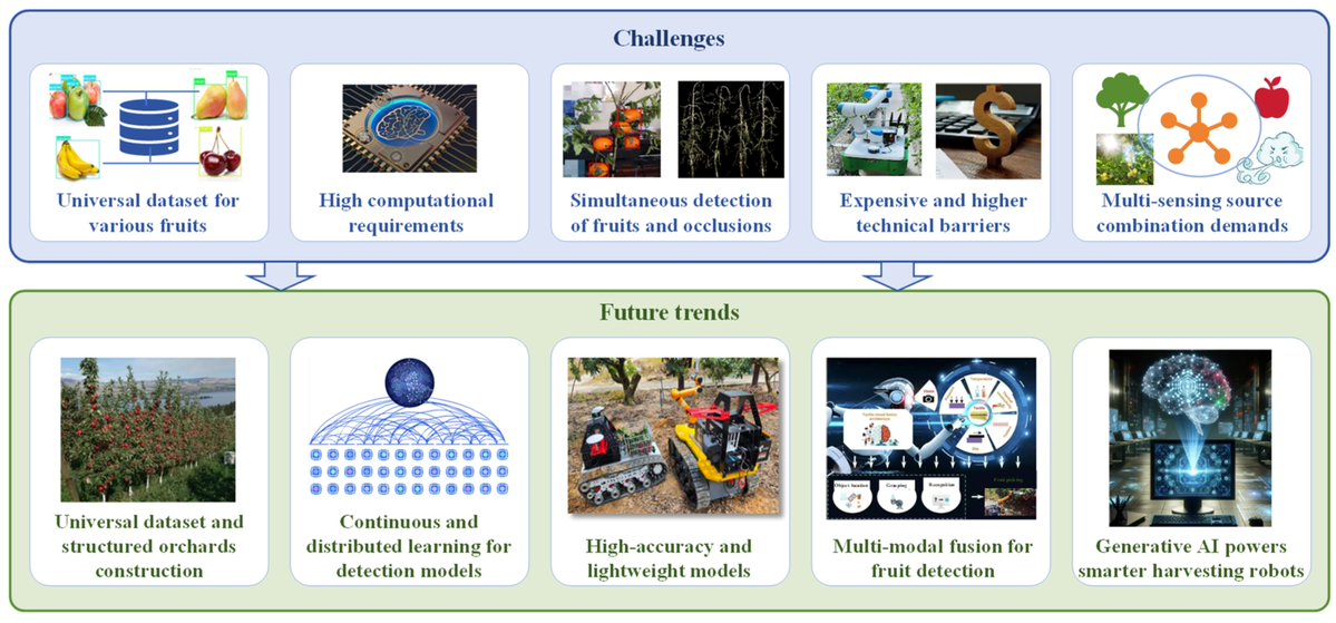 LifesciMdpi's tweet photo. 📷 Visual detection for fruit harvesting uses deep learning and classical algorithms. Future trends include lightweight neural networks and multi-sensor integration for reliable picking.
Read more: https://t.co/kGk1pz2JBZ
#VisualDetection #PrecisionAgriculture https://t.co/QJ8z1JrZDI