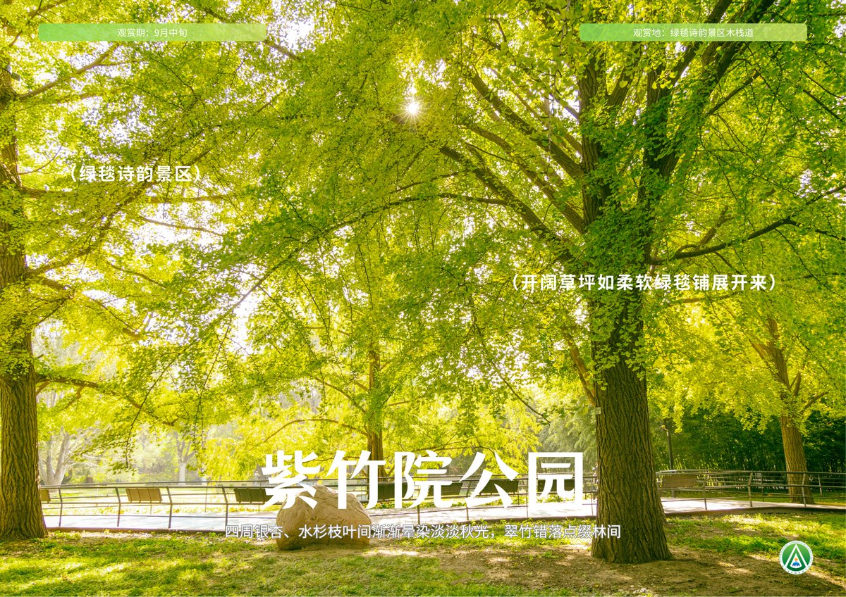 BeijingEvening's tweet photo. 北京的公园悄然换上了秋日新装
As September arrives and summer heat fades away, parks in #Beijing quietly don their autumn outfits.
#BeijingAutumn #BeijingParks https://t.co/yCJvo3ElbI
