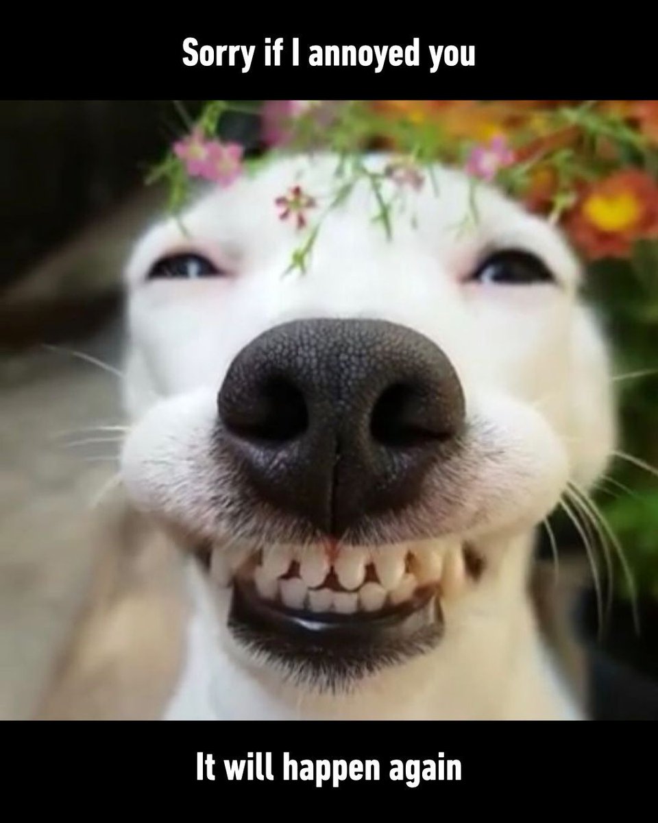9GAG's tweet photo. Me to my bestie https://t.co/BLZZwjpU5b