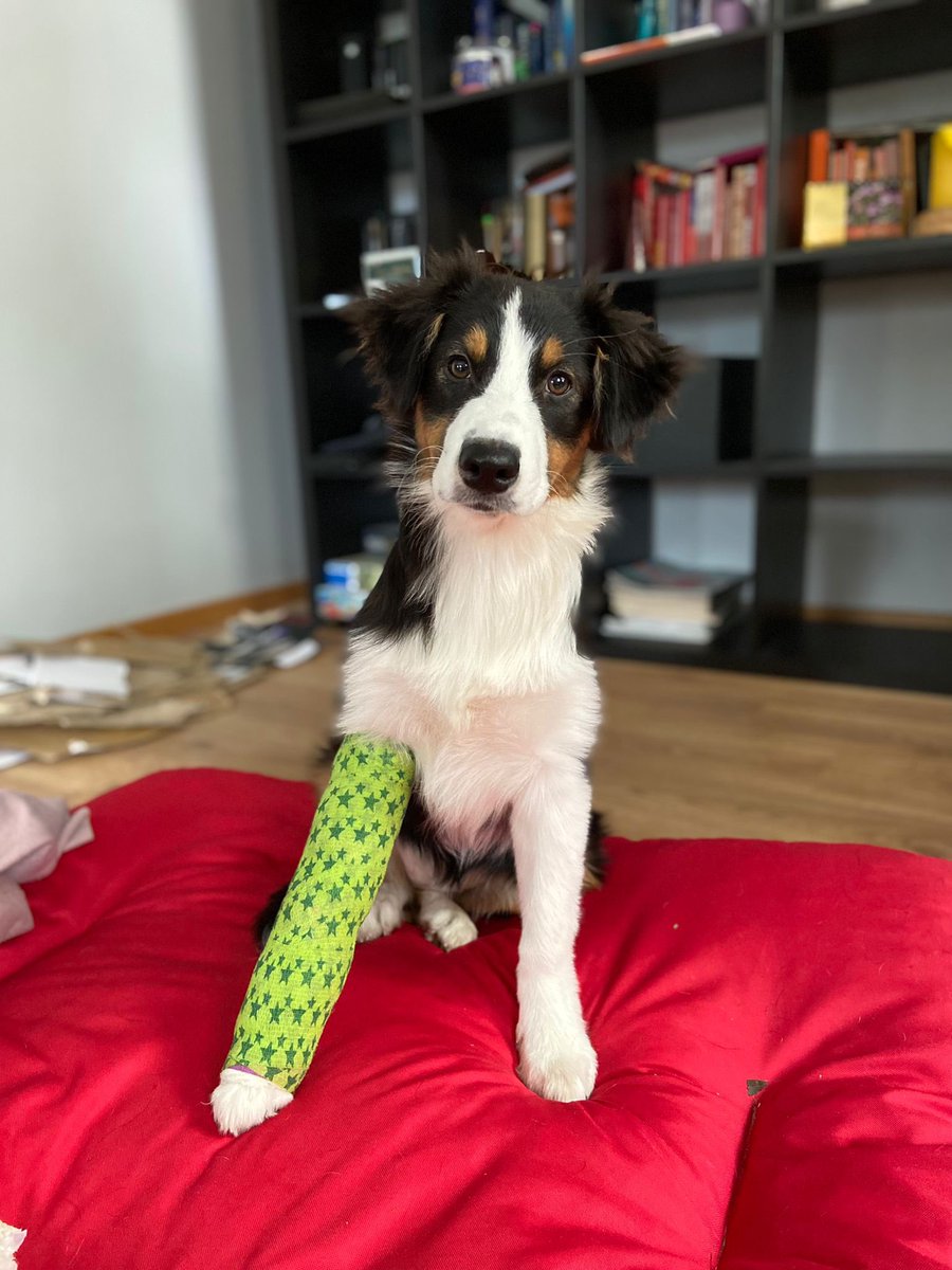 dachuks's tweet photo. @Jakobson_L @Valsts_policija tas gan 5 gadus atpakaļ, bet pilnībā piekrītu, tiem nav vieta starp gājējiem https://t.co/5Qonle7Yok