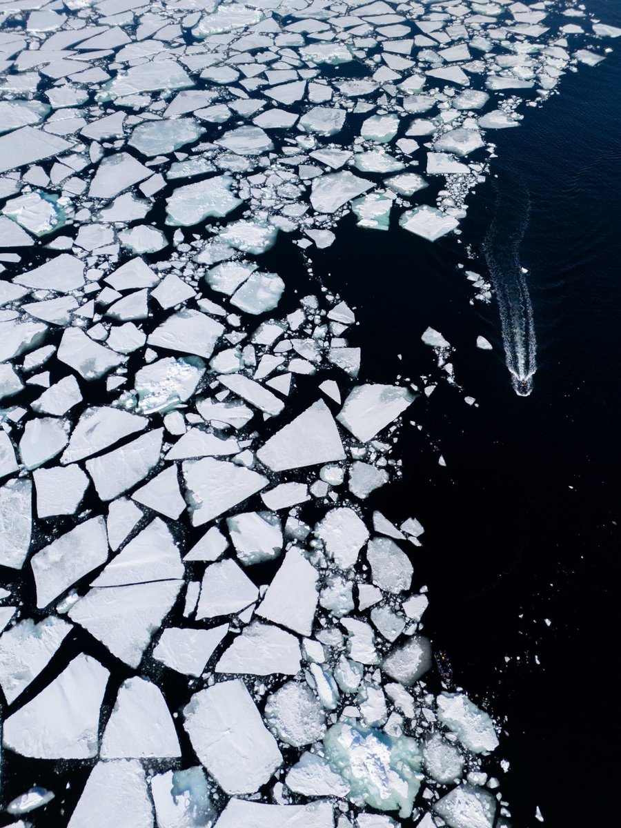 SamudioReinaldo's tweet photo. Dreaming of our incredible Svalbard expedition last May. From curious wildlife to breathtaking scenery around MS Spitsbergen, it was unforgettable. We can’t wait for the season to begin again. https://t.co/NCfjDcNbfm