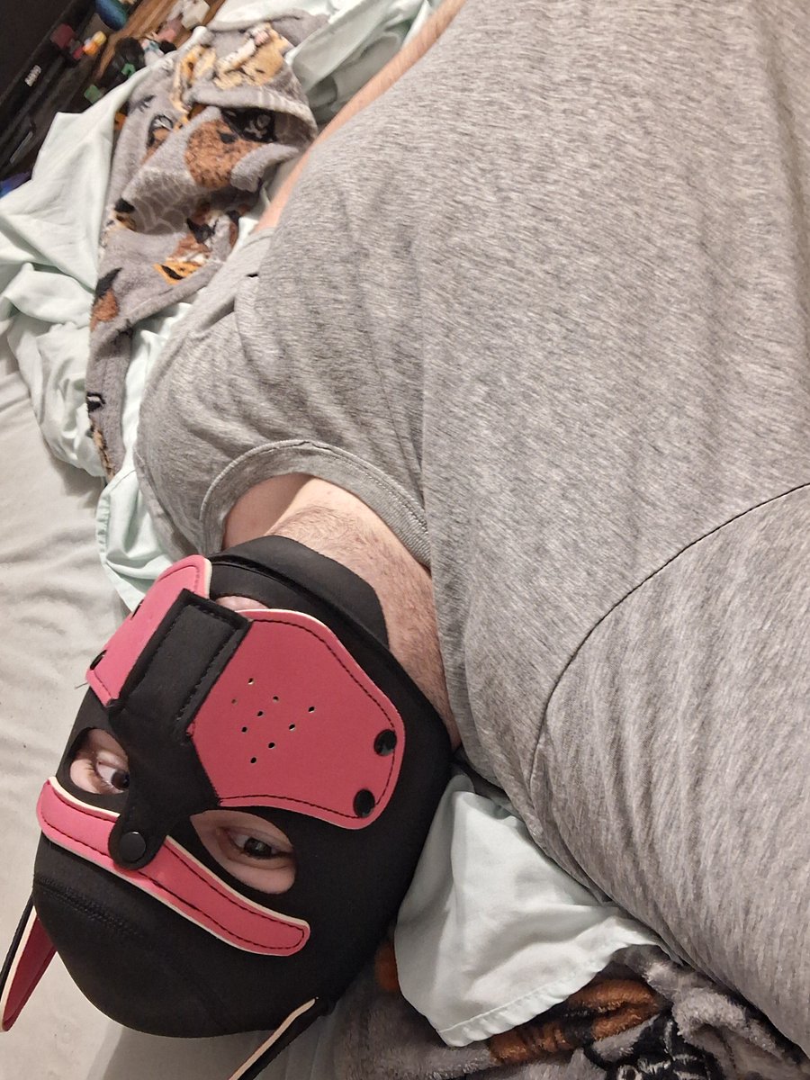 Silver_wolf_pup's tweet photo. Pup after his first workout of the day #pupplay #pupmask #gay #mlm #pup #boy #omega #submissive https://t.co/d5ipD2vNMO