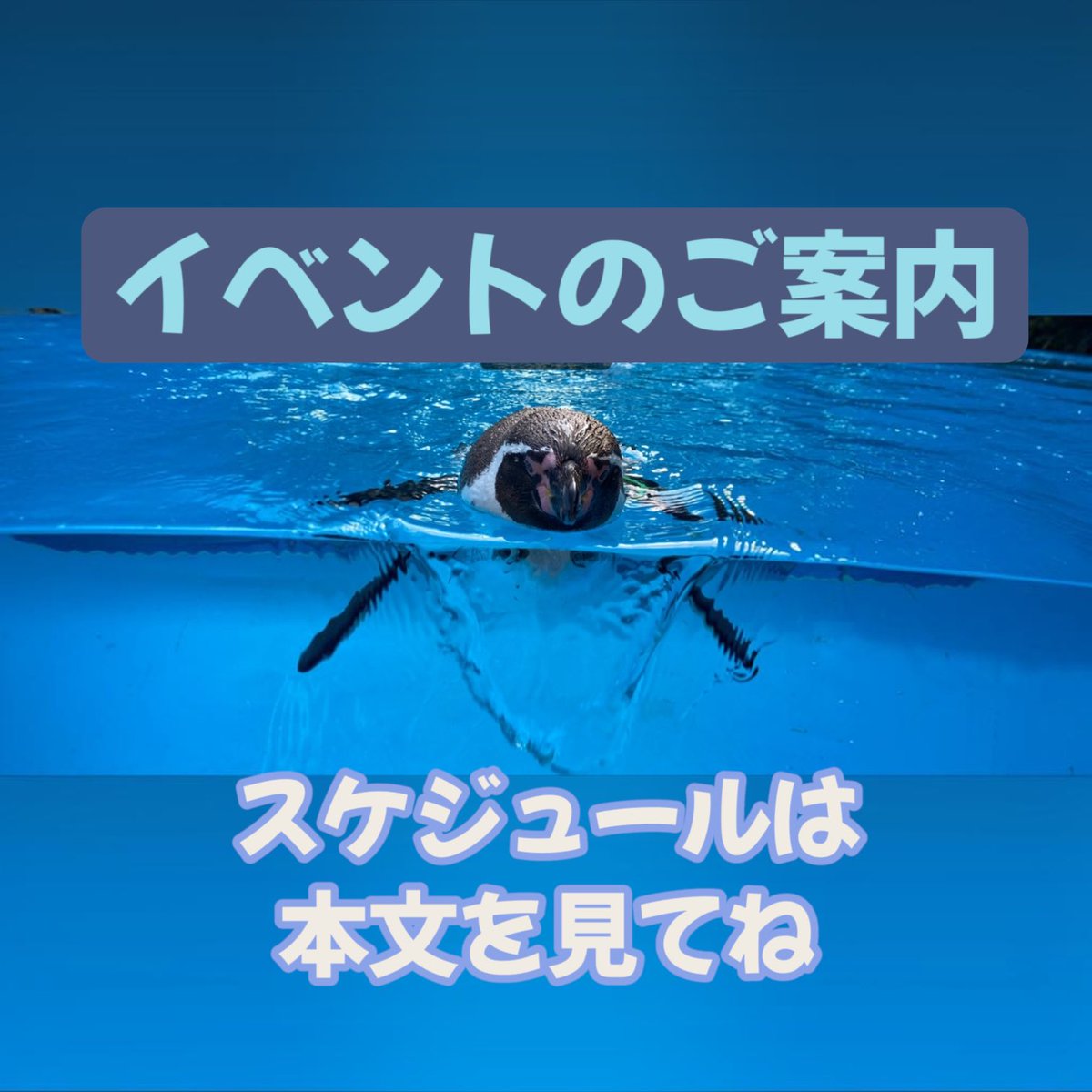 NUIGURUMINZ's tweet photo. 暮らしの中の小さなマルシェ
愛知県岡崎市　リブラ
10月17日（土）

横浜ハンドメイドマルシェ
神奈川県　パシフィコ横浜
11月21.22日（土.日）

名古屋ハンドメイドマルシェ
愛知県名古屋市　吹上ホール
1月30.31日（土.日）

Creator Festival
愛知県名古屋市　ポートメッセなごや
4月25日（日） https://t.co/fotenMu8hv